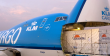 Air Freight